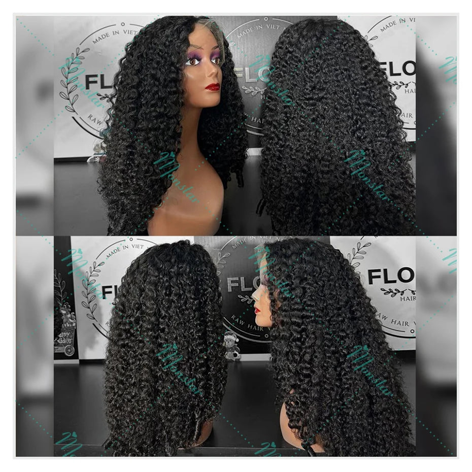 300 400 High Density Lace Wig 12A Burmese Curly Hair Wig Hd Lace Wig 13x6 Human Hair Vietnamese 13x4 Full Frontal Human Hair Wig